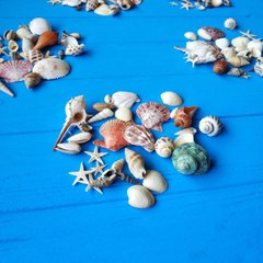 Морские ракушки для заливки эпоксидной смолой, декоративных работ, набор 33-35 шт