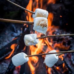 Аромаолія преміум "Зефір, який підсмажується на багатті, дуб, озон", США, 10-100 г, "Campfire Marshmallow", Candle Science
