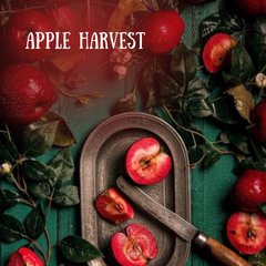 Аромаолія преміум "Шкірка яблука, апельсин, кориця, гвоздика", США. Заводська уп, 28 г, "Apple Harvest". Candle Science