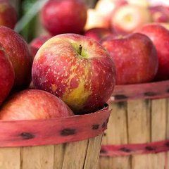 Аромаолія преміум "Шкірка яблука, апельсин, кориця, гвоздика", США, "Apple Harvest". Candle Science 50 г