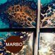 Marbo (Италия) пигмент "Шоколадный коричневый" №29&nbsp;концентрат для смол и полиуретанов. Марбо, 15 мл
