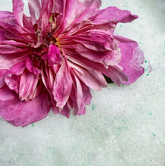 Силикагель для сушки и засушивания цветов Flowers In, мелкая фракция, 1 л (Влагопоглотитель)