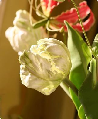 Modena Soft Модена Софт (Япония, Падико) холодный фарфор, cамоотвердевающий пластик, белый