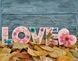 Знижка. Молд великий для декору "LOVE+серце", для смоли, гіпсу і пластиків, харчових форм