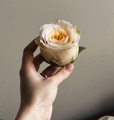 Воск пчелиный Flower Wax, #7 (смесь) отбеленный для лепки свечей-цветов, формовых свечей, вайнеров и восковой бумаги. Уп. 500 г