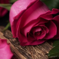 Аромаолія преміум "Троянда+ожина, уд, темний мускус", США, 10-100 г, "Rose and Oud". Candle Science