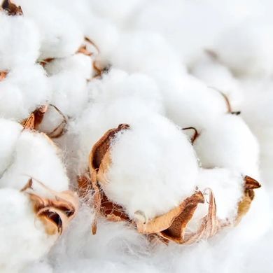 Аромаолія преміум "Бавовна, фіалка, пудра", США. Заводська уп. 28 г, "Clean Cotton", CS